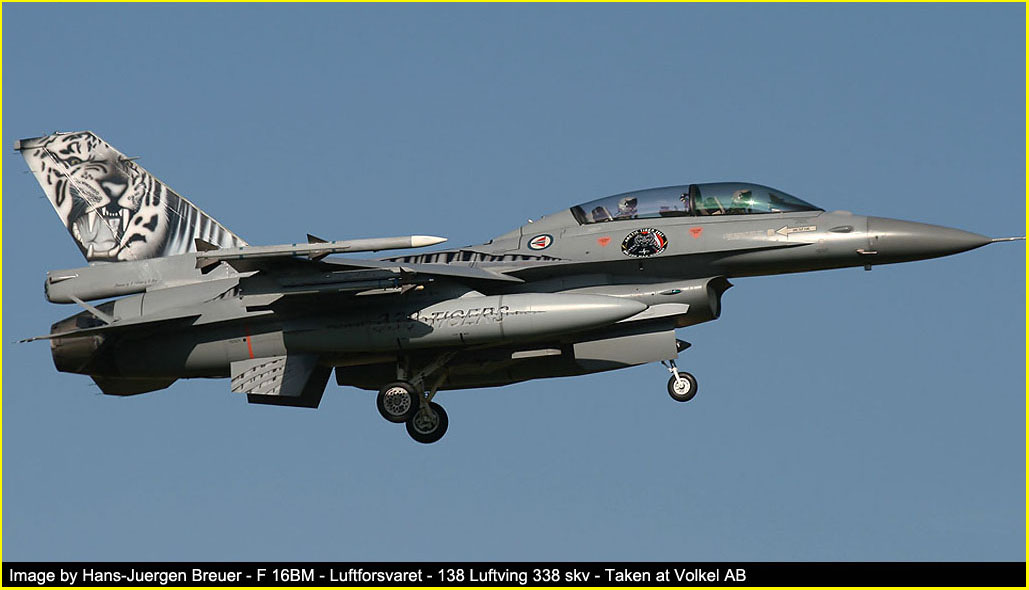 nato tiger meet volkel 2010 image 8