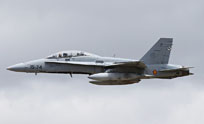 nato tiger meet zaragoza 2016 image 68