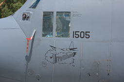 polish air force image 30