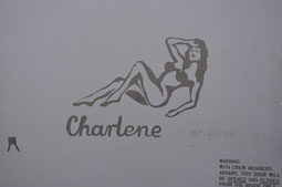 polish air force image 31