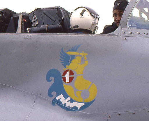 polish air force warsaw pact image 21