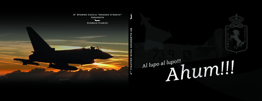 published work book welcome 4th wing