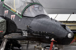 riat 2023 image 2