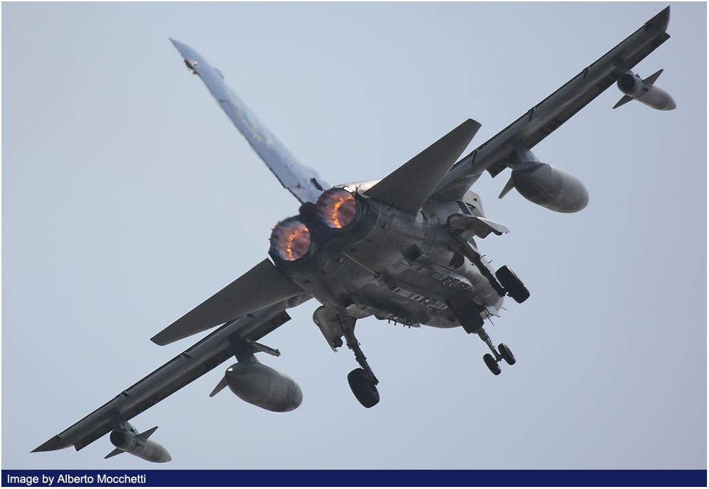 raduno 102 gruppo 2008 image 15