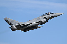 Ramstein Flag 2024 image 21