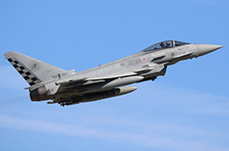 Ramstein Flag 2024 image 25