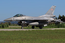 Ramstein Flag 2024 image 30