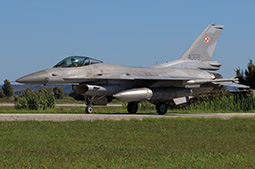 Ramstein Flag 2024 image 31