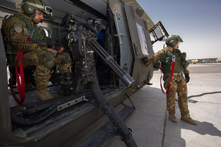 task force fenice aves image 10