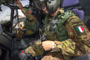 task force fenice aves image 11