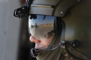 task force fenice aves image 12