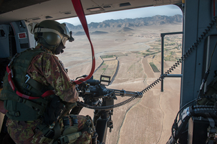 task force fenice aves image 14