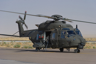 task force fenice aves image 17