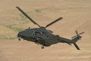 task force fenice aves image 19