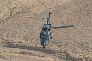 task force fenice aves image 20