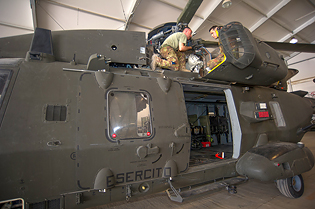 task force fenice aves image 6