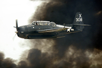 texas the paradise of warbirds image 37