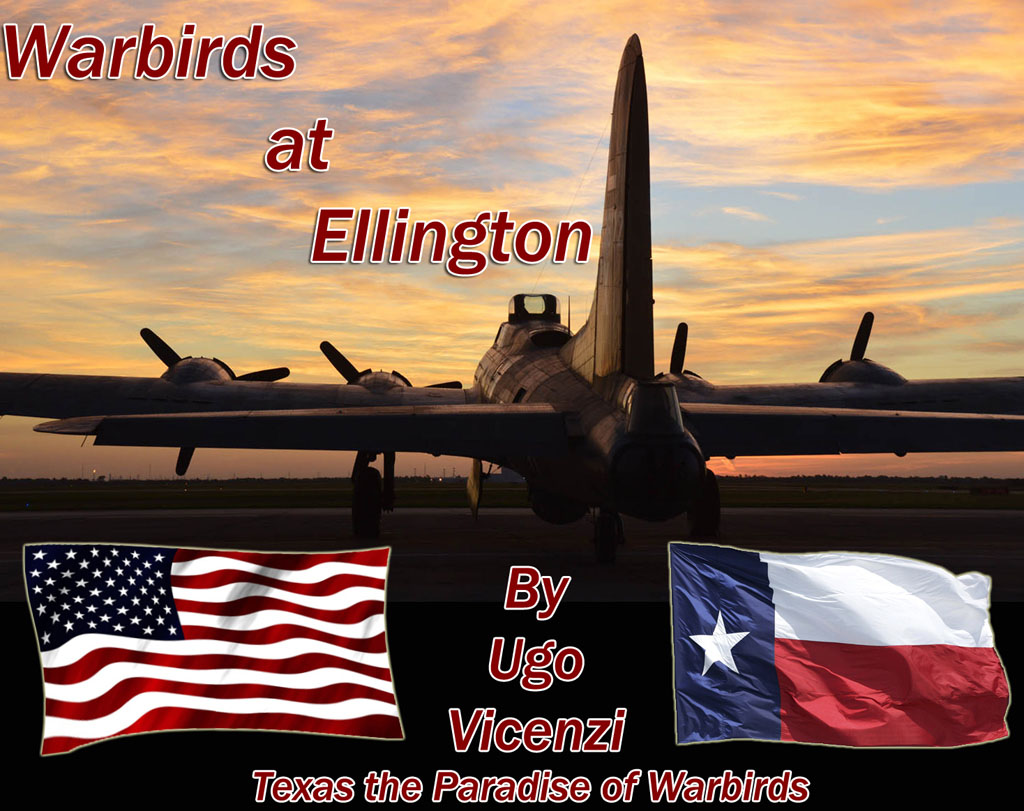 texas the paradise of warbirds titolo