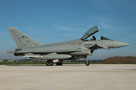 typhoon database image mm7349 36mo