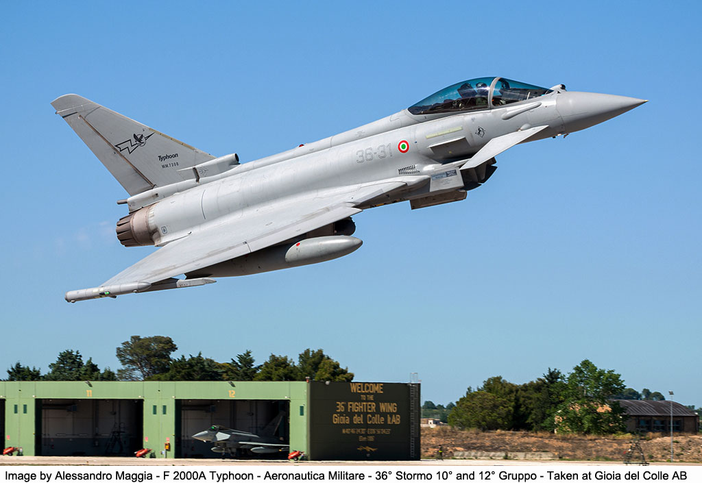 typhoon flag 2022 image 1