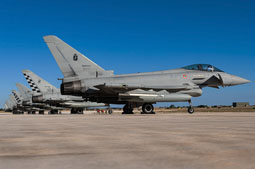 typhoon flag 2022 image 12