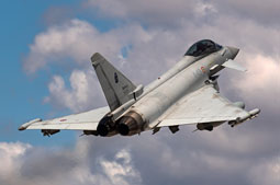 typhoon flag 2022 image 15