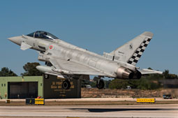 typhoon flag 2022 image 16