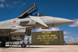 typhoon flag 2022 image 17