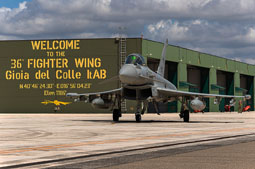 typhoon flag 2022 image 18