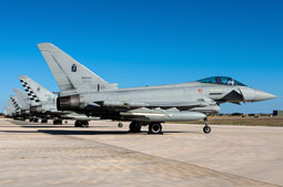 typhoon flag 2022 image 2