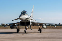 typhoon flag 2022 image 3