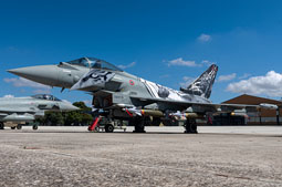 typhoon flag 2022 image 4