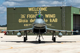 typhoon flag 2022 image 5