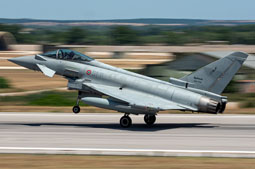 typhoon flag 2022 image 6