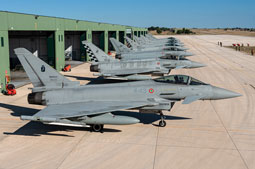 typhoon flag 2022 image 7