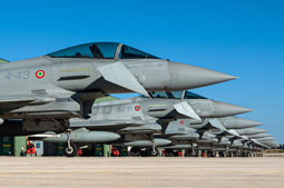 typhoon flag 2022 image 8