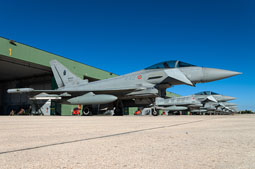 typhoon flag 2022 image 9