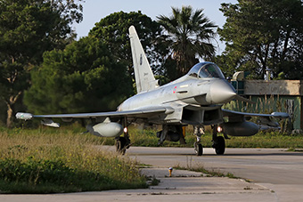 Typhoon Flag 2025 image 34