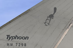 f 2000 typhoon technical guide image 215